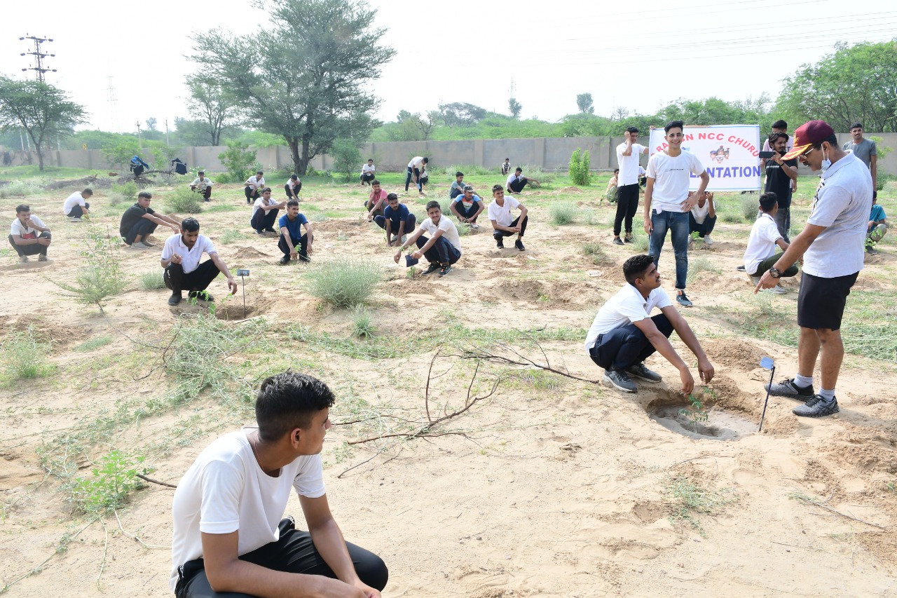 Plantation by NCC